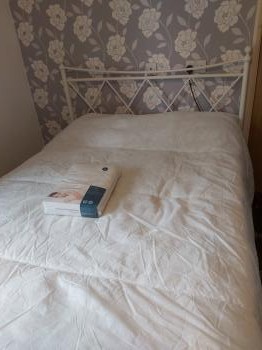 Double White Bedframe and mattress in white