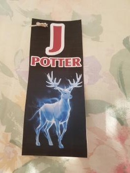 Hand Made Harry Potter Bookmark - James Potter