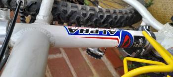 Boys trek mountain bike