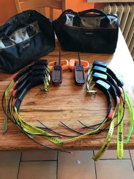 Garmin Alpha 100 with TT15 collar