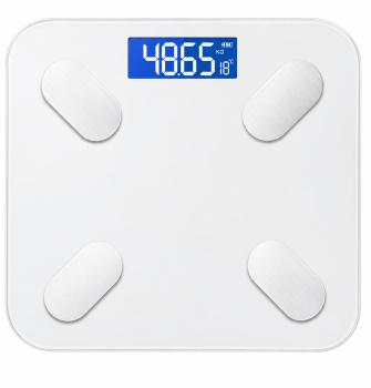Household Electronic Scale (Actual Price on Request)